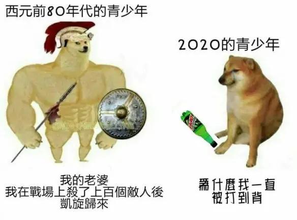 被做成表情包的柴犬doge,doge柴犬表情包万恶之源