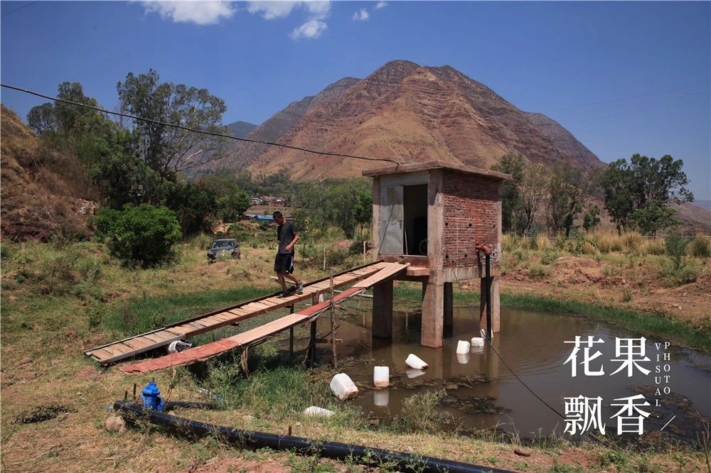 果园建园,果园选址规划