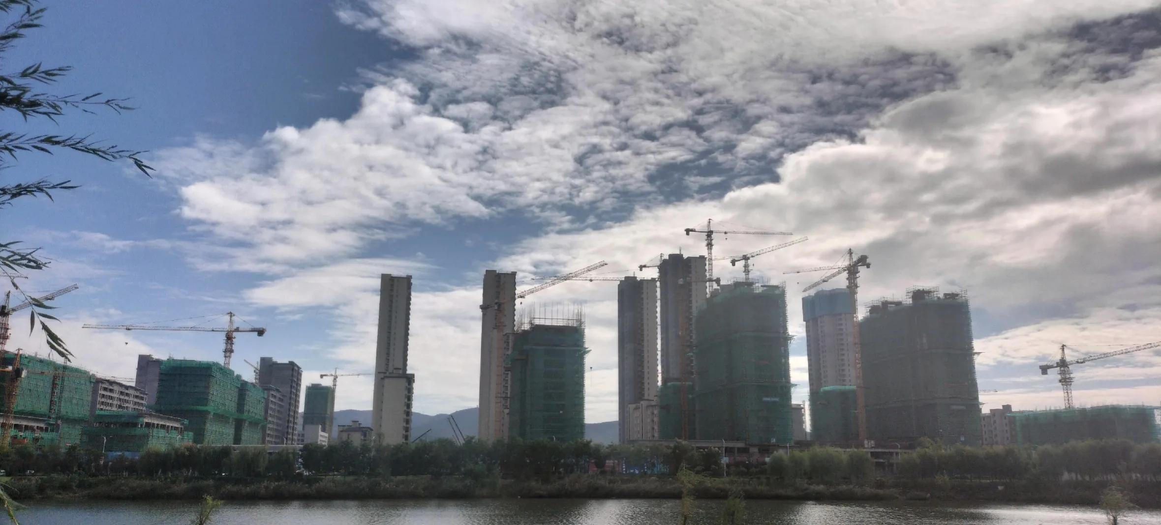 红杏24集,红杏品种