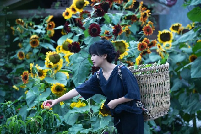 李子柒爆红全球凭什么,李子柒粉丝突破1亿人