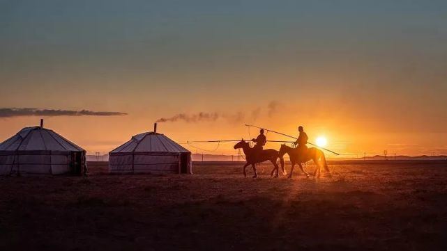 DNA和乳制品不兼容的蒙古人，怎么就成了克服乳糖不耐的关键？