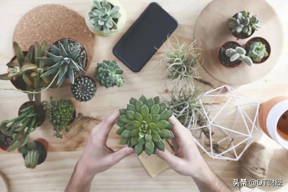 2021年购物车推荐,2023爆款购物车