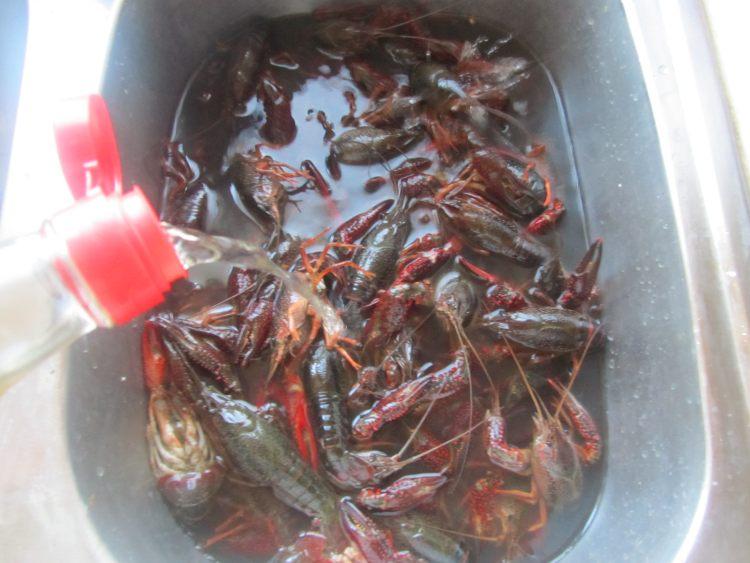 只用清水洗小龙虾,越洗越脏,教你正确方法,细菌寄生虫统统去除