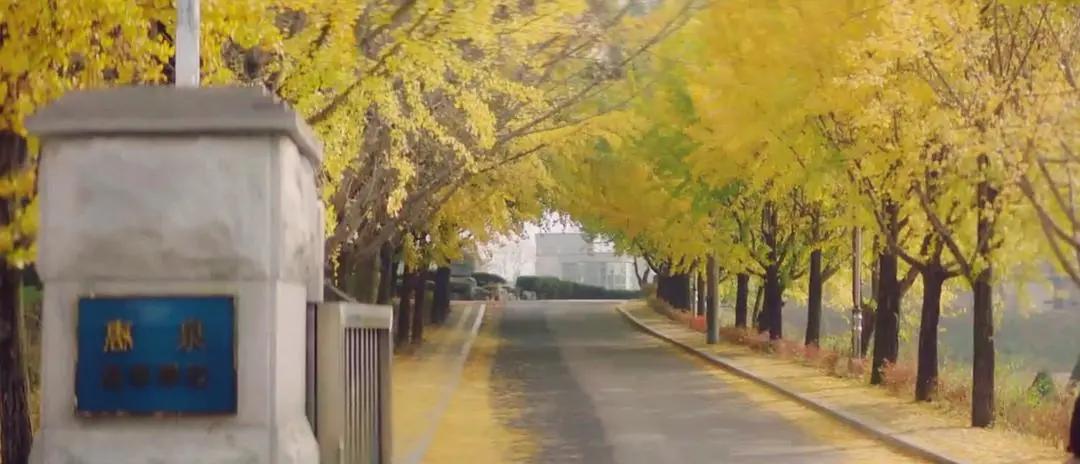 给吃了“*药春**“的时代泼点凉水，或许也是一种生活方式