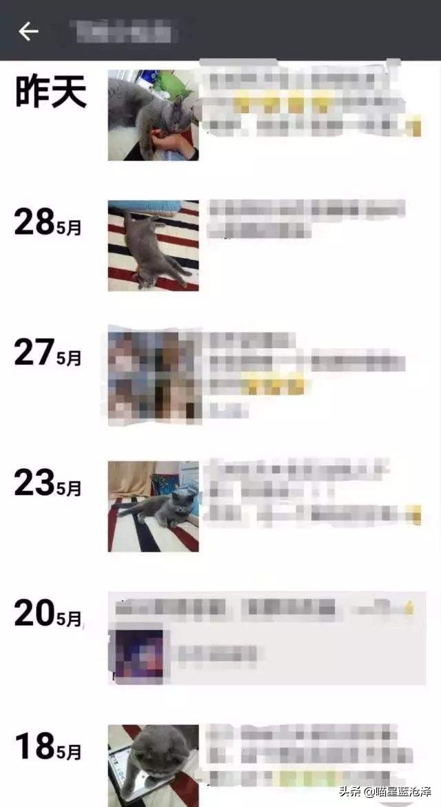 辟谣猫咪蒜瓣毛,猫咪喝纯牛奶辟谣