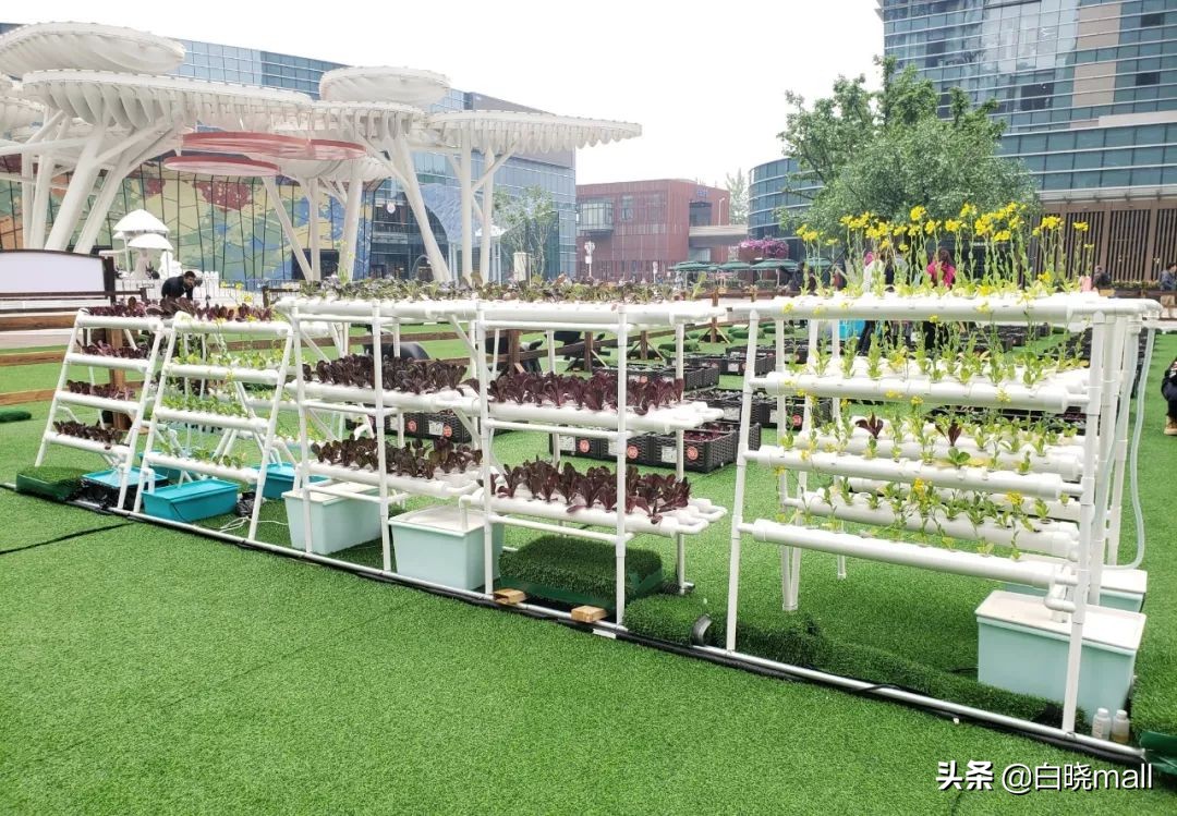 北京南城大型购物中心哪家最好,北京大族广场楼层品牌