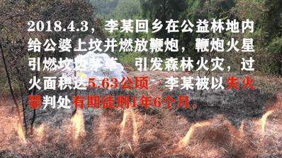 广安市广安区火灾最新事件,广安发生火灾