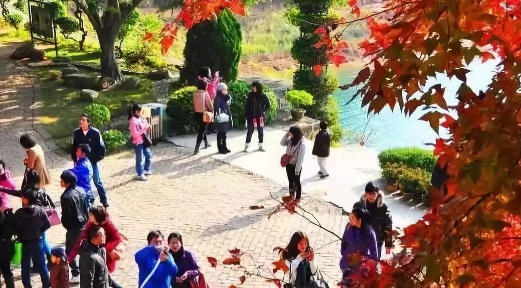 守底线不越红线不碰高压线,坚守安全红线筑牢安全底线