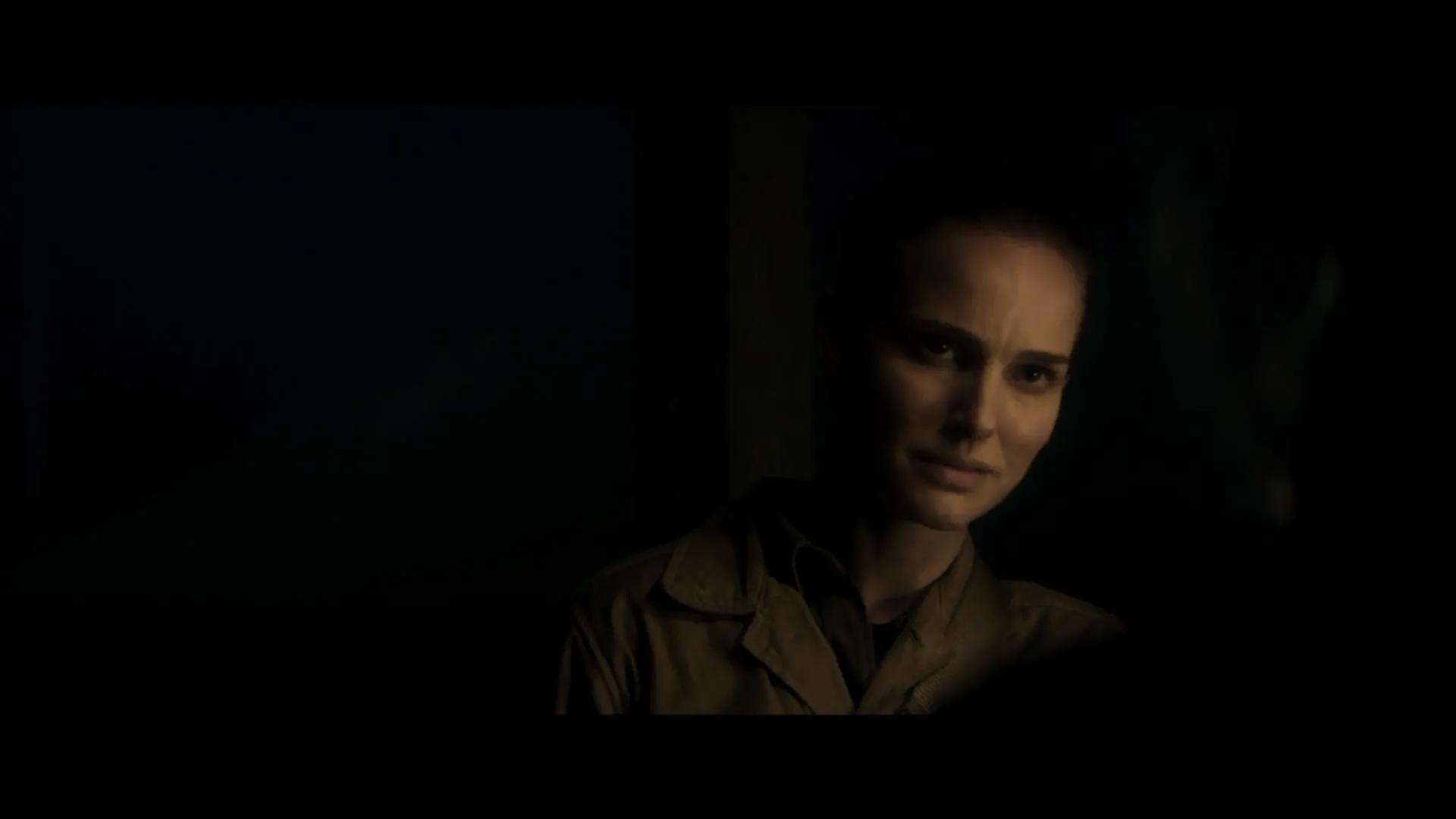 湮灭电影深度解析,湮灭电影到底湮灭了什么