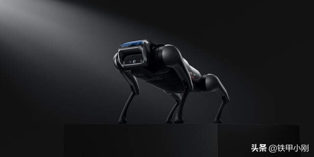 小米铁蛋波士顿动力,赛博铁蛋魔改