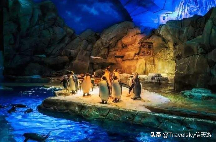 旅行丨我想去香港旅行逛！逛！逛！买！买！买！