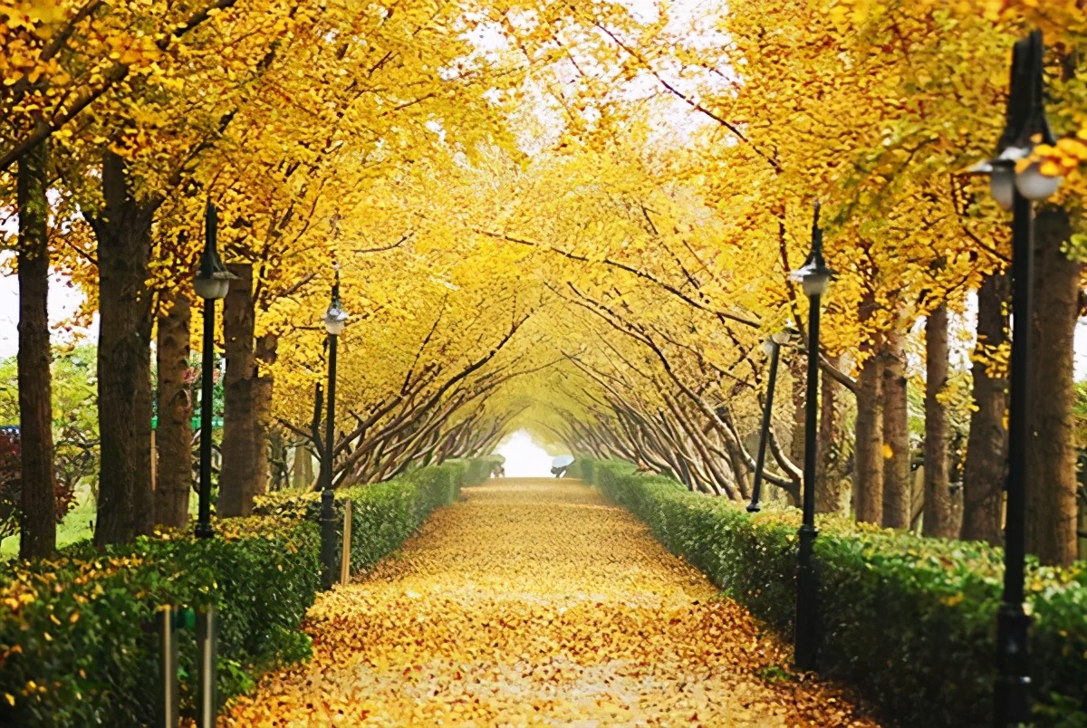 长三角城市群最佳旅游线路,长三角示范区旅游详细攻略