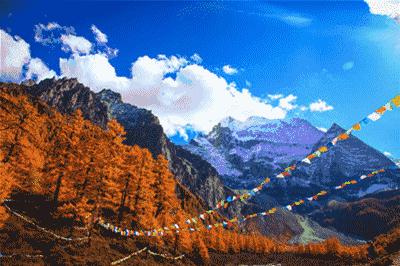 安川伺服闭环控制器,安川伺服电机速度控制的方法