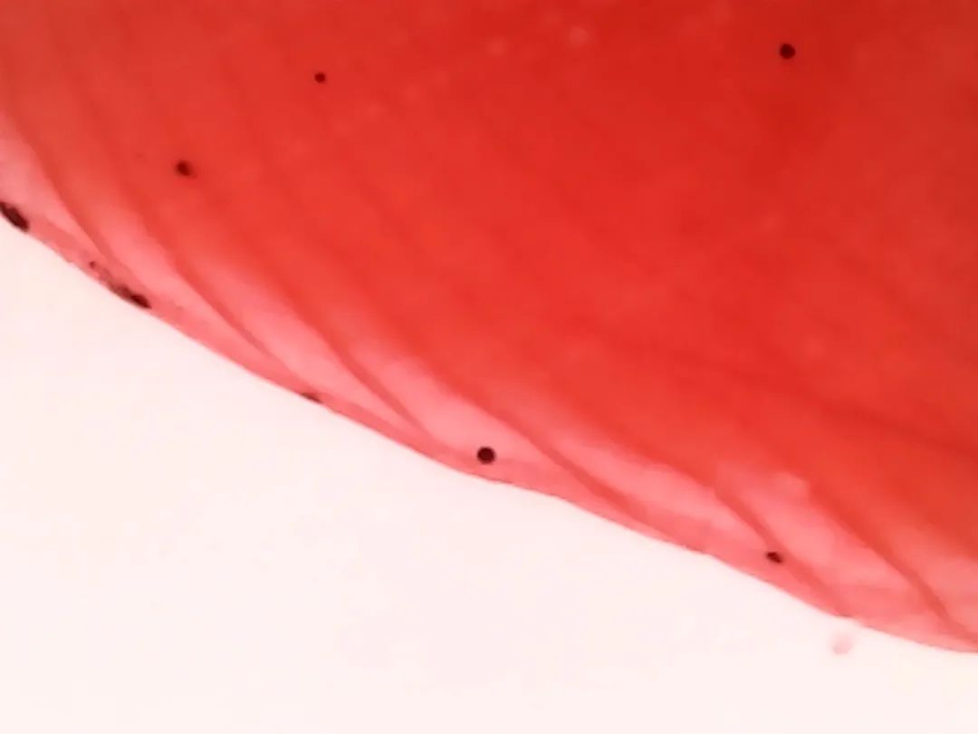 暑假孩子玩手机不如打篮球吧,儿童显微镜放大蚂蚁120倍