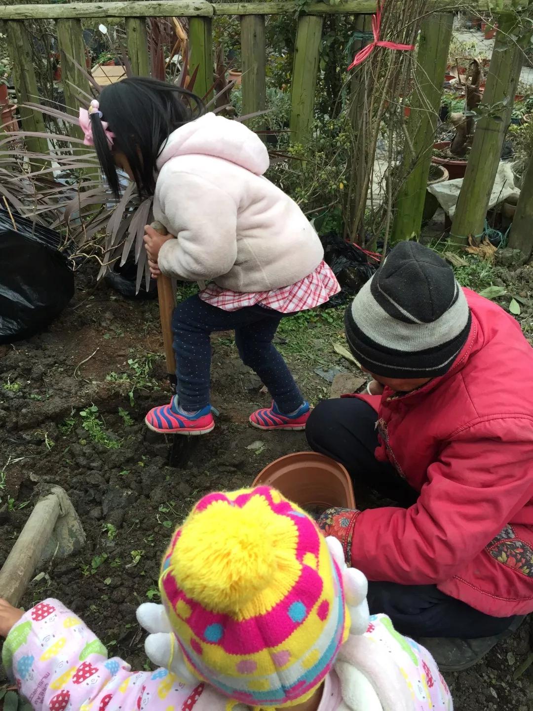 建一座完全不打药的生态花园，所有生命在这里和谐共处，值得收藏