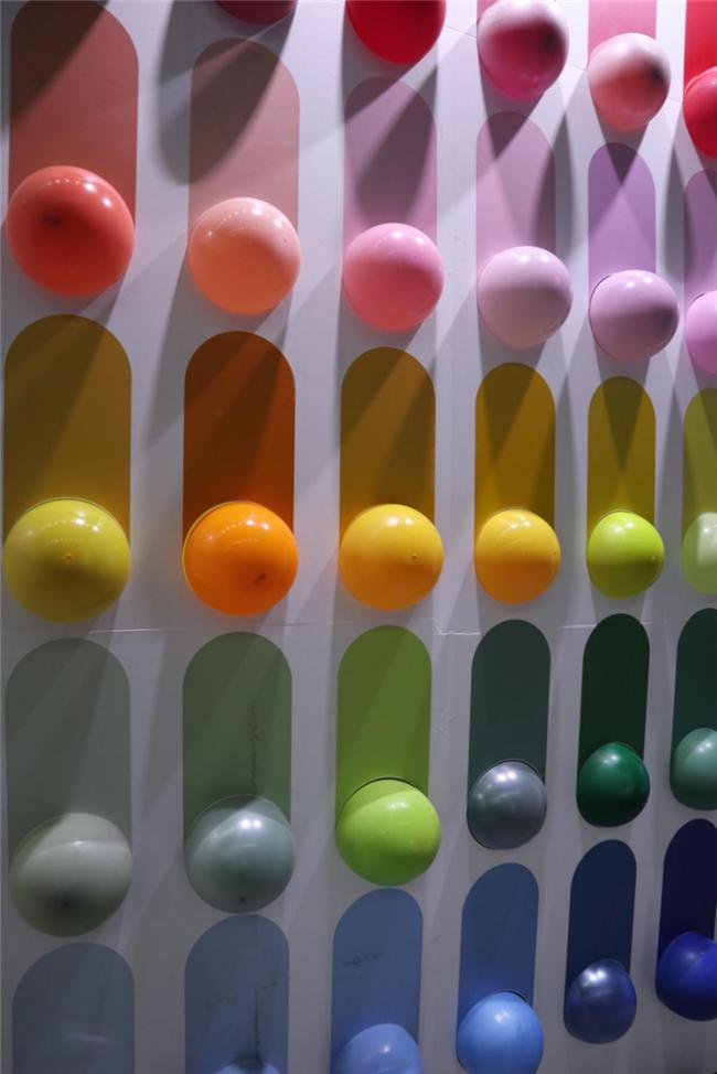 让人惊艳的花展,花展上看到的美到窒息