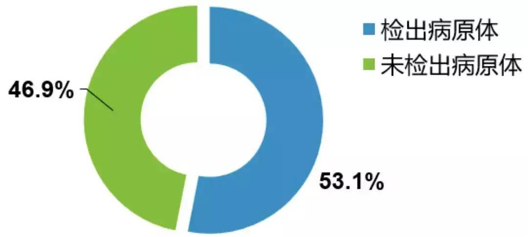 感染性疾病主要检测流程,感染性疾病筛查怎么做