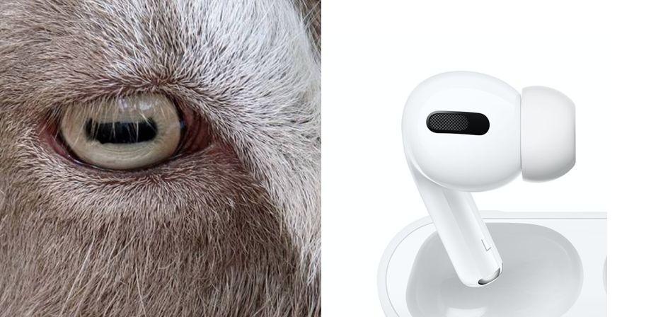 2000买个苹果耳机值吗,2000块的苹果耳机值得买吗