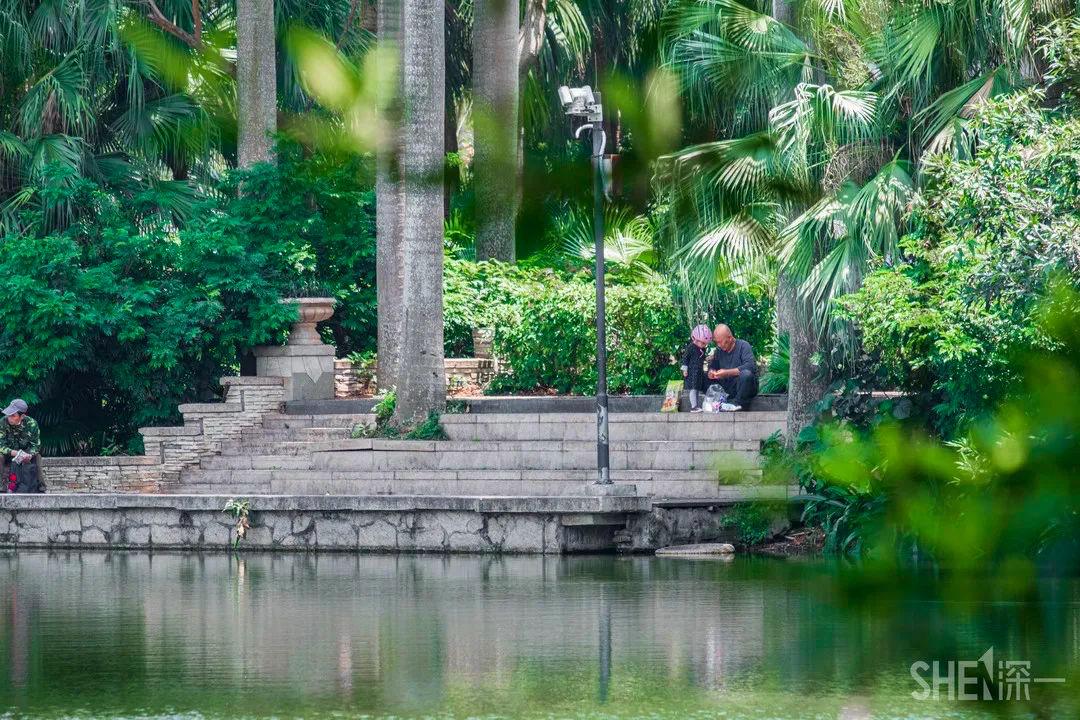 深圳二号线沿线有哪些景点游玩,深圳9号线沿途好玩的地方推荐