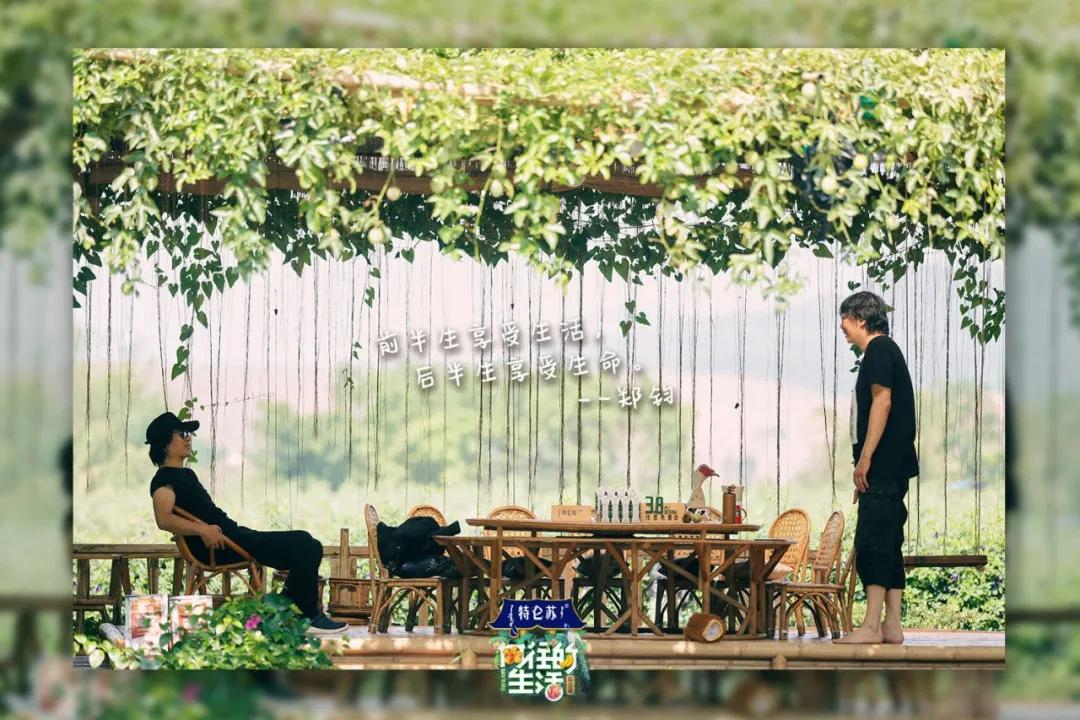 向往的生活1-6季文案,向往的生活一屋两人三餐四季文案