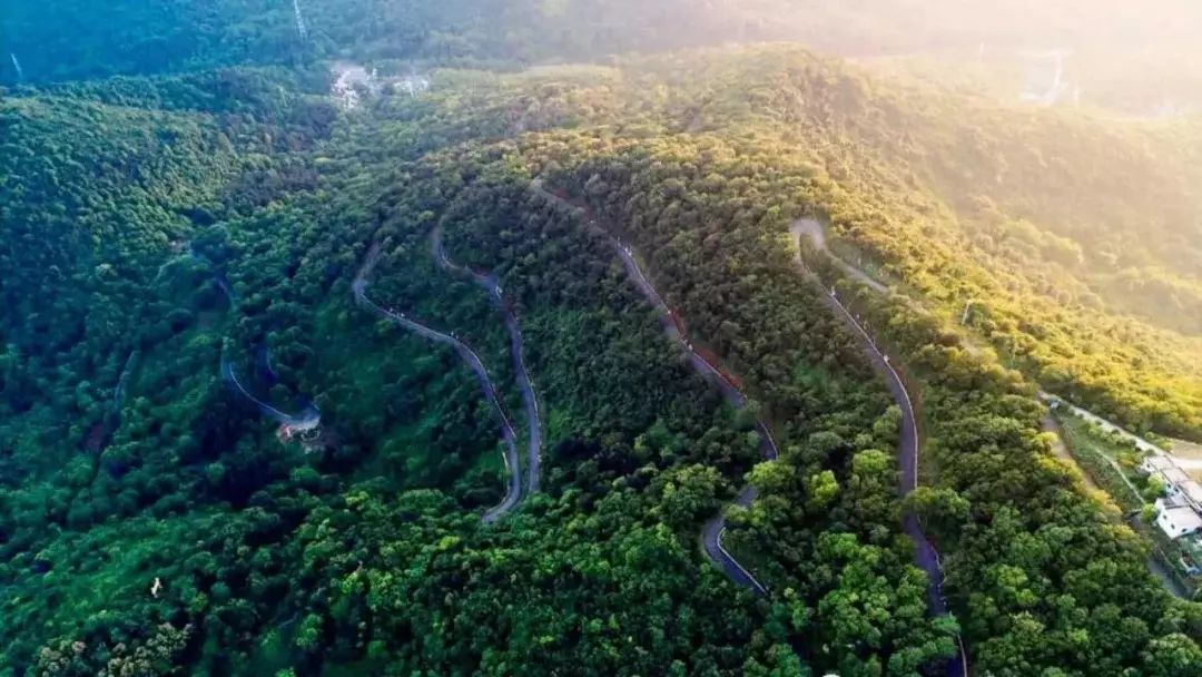 陪领导下乡视频,陪领导下基层指导工作怎么说