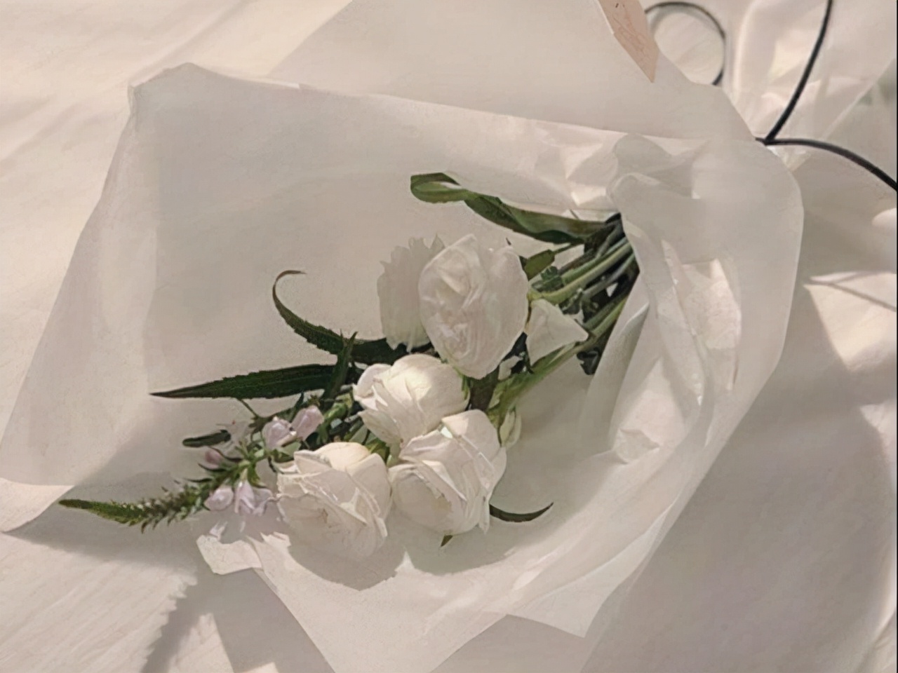 天蝎座知道的越多越心疼,天蝎座懂事让人心疼的表现