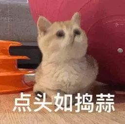 练好写字的方法,初学者快速提高写字水平的方法