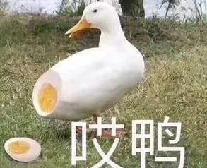 生活谣言大全100首,生活中的十大谣言你中招了吗