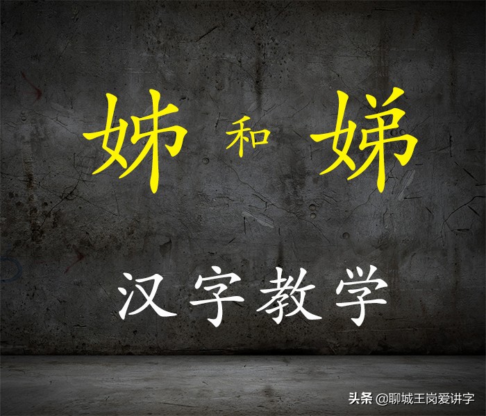 汉字学与小学识字教学应用,汉字与汉字教学视频