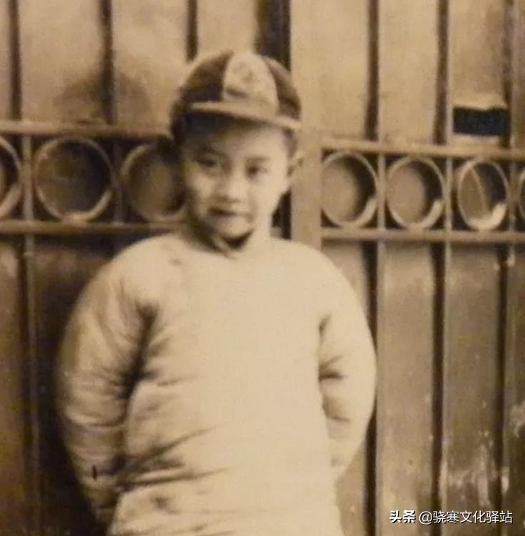 “纸囚一世”—译者吴钧陶,常年被结核菌侵扰却坚持传递中西文化