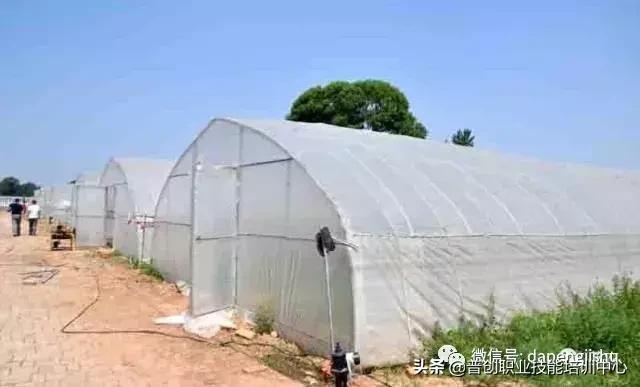 建一个温室大棚大概需要多少人工,温室大棚建造前景