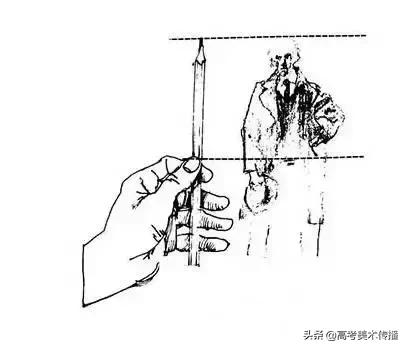 画画造型要到位,画画时怎样才能把形弄准