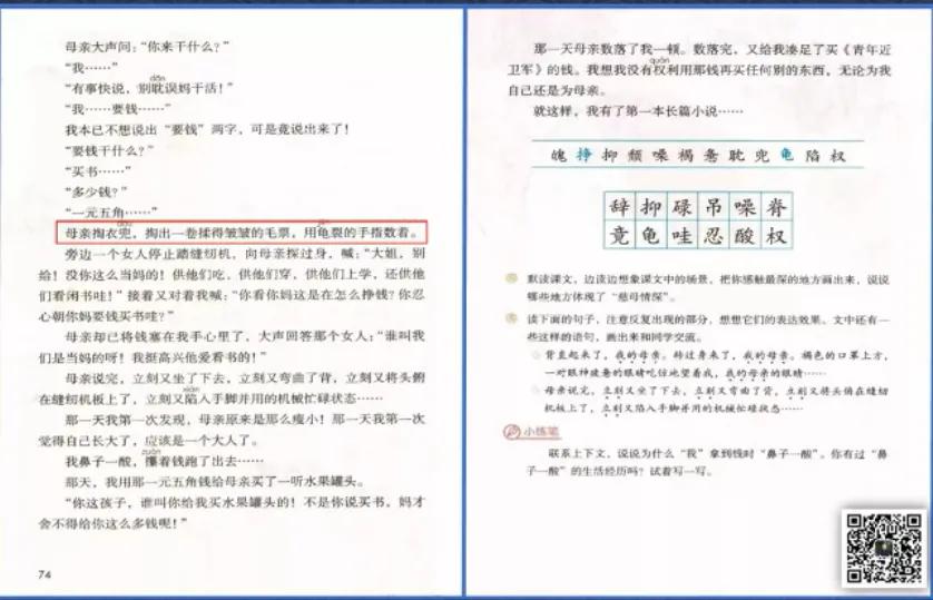 特级教师王崧舟教学视频,王崧舟老师《慈母情深》