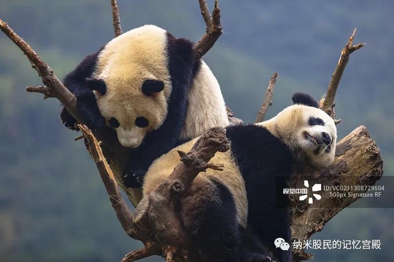 一分钟了解十二星座,一秒记住十二星座