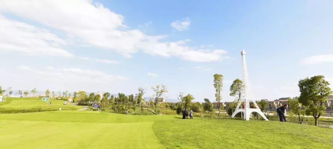 曲靖这31个景点你都去过了吗,曲靖千亩花海美景