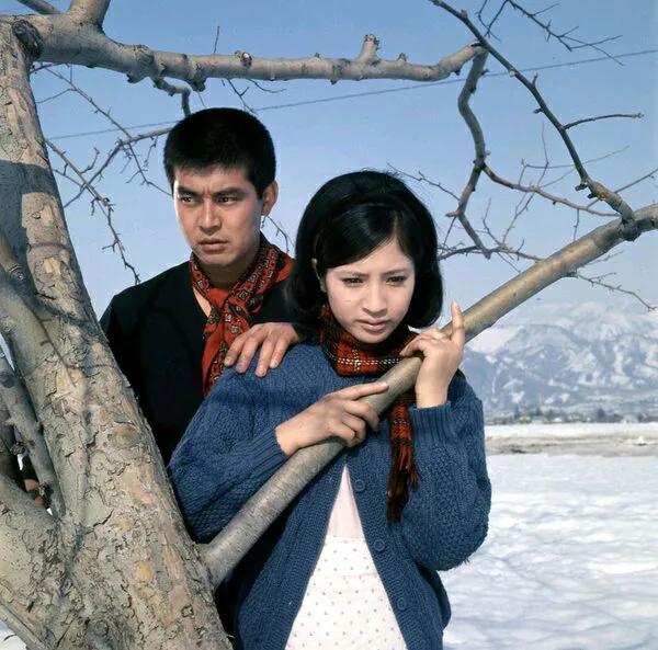 日本著名男星渡哲也一一人生就是忍耐