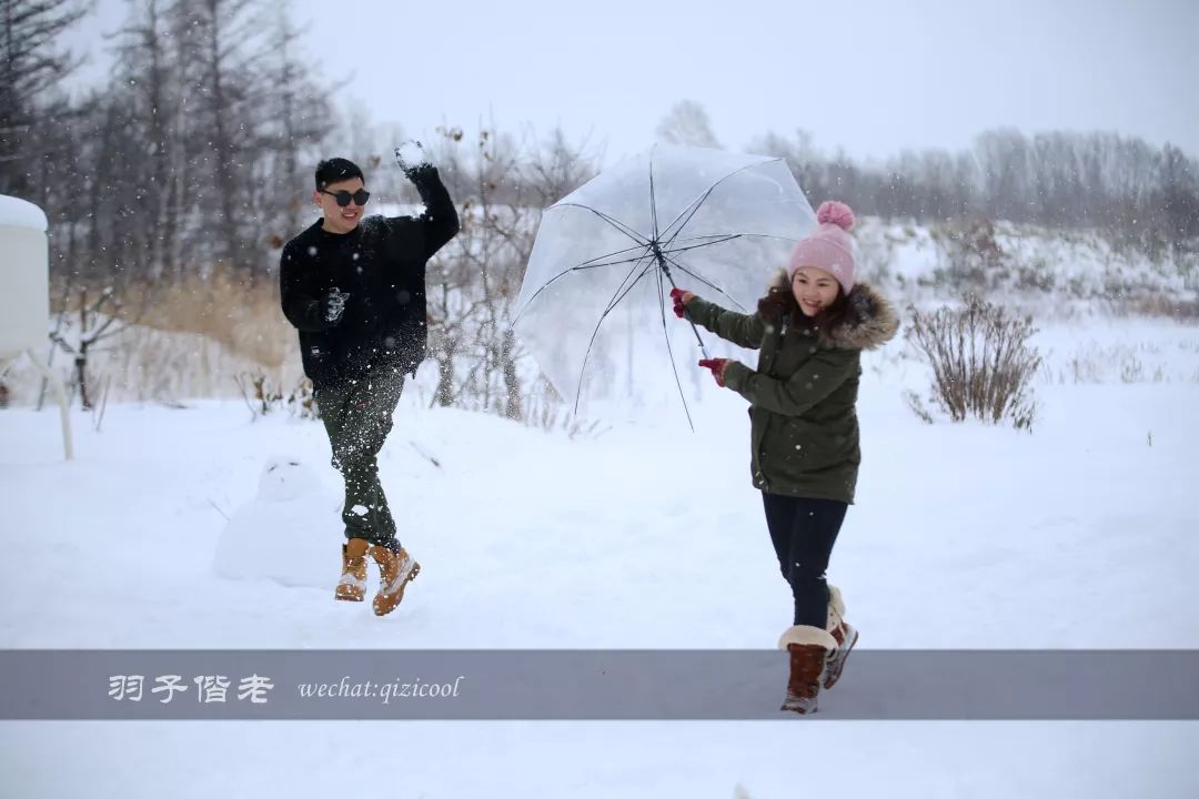 老实说，这一趟北海道就是为了拍好看的照片去的