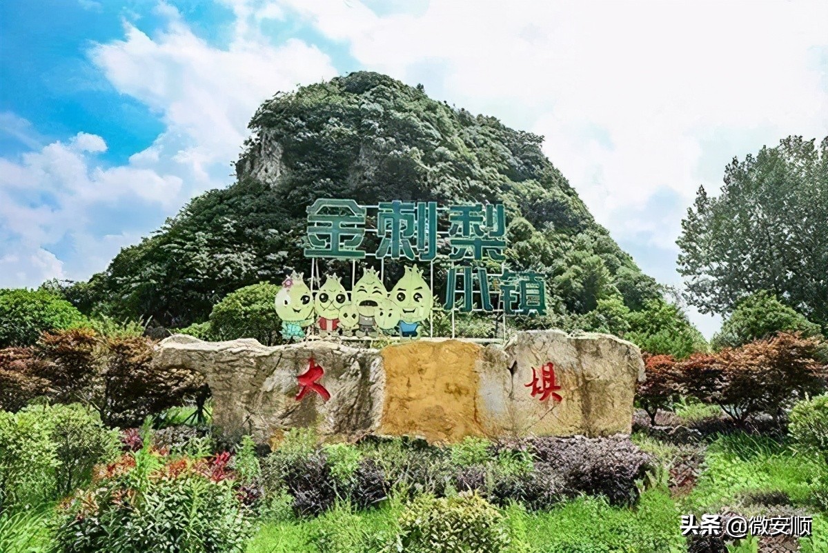 你好！我叫安顺，这是我2021最新简历