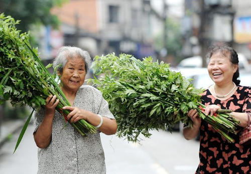 在地里烧秸秆害虫烧死一大半,在山里砍竹子用的蚊香