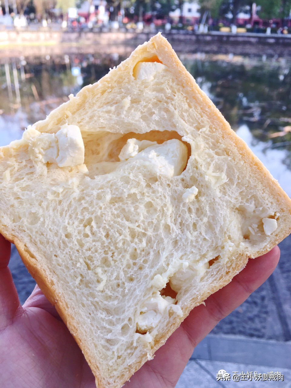 回味成都|面包会有的，27家成都面包探店地图请收藏！（上）