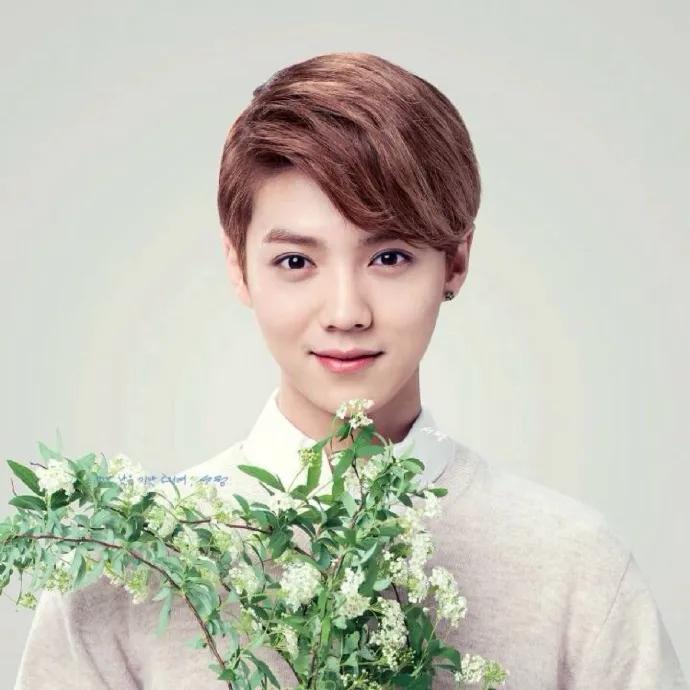 浜掕仈缃戝ぇ浣ū涔愬湀,浜掕仈缃戝ぇ浣皥鑷繁鍋跺儚