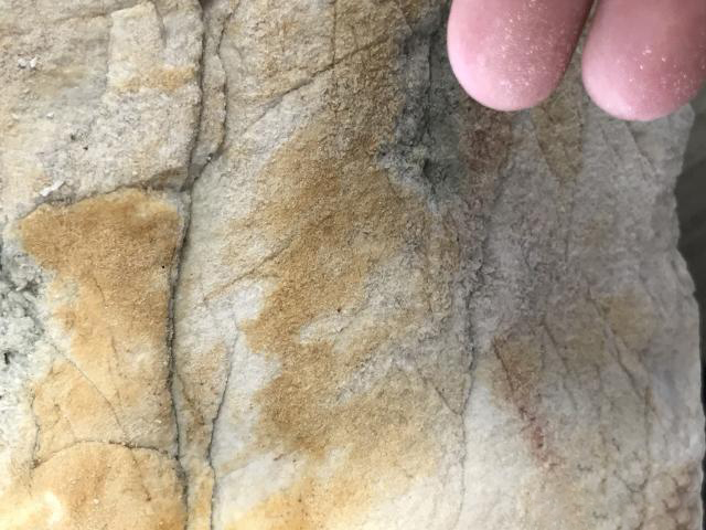 公盘里一块重达340公斤的翡翠原石，底价20000，你觉得值吗？