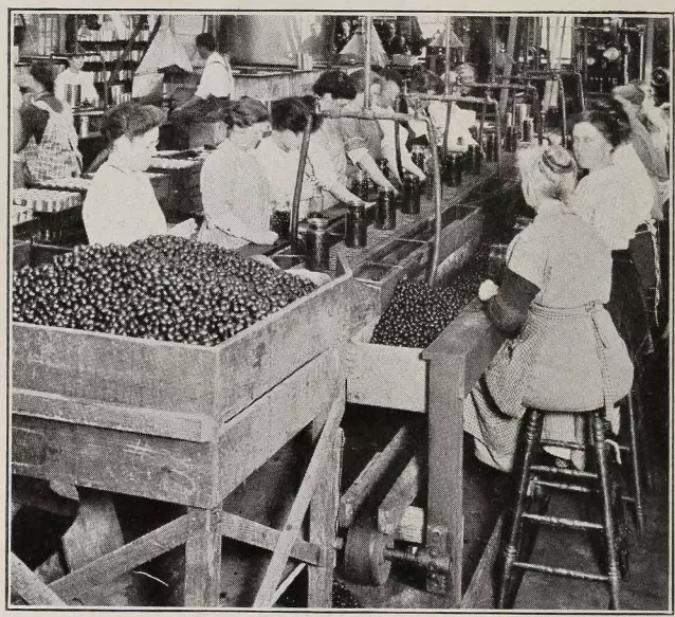 千古之谜的谜底,千古谜团未解之谜