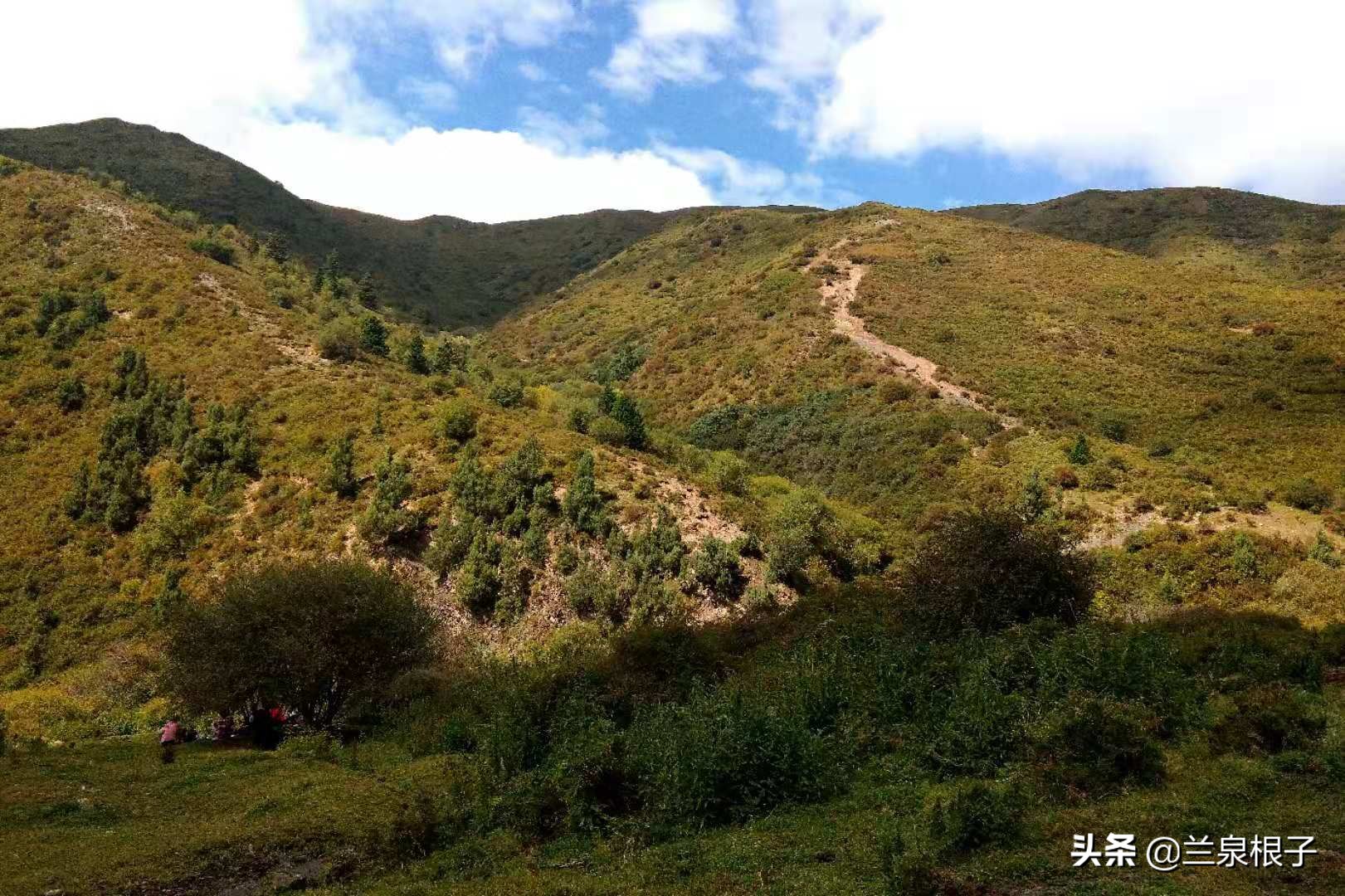 夏河县达尔宗湖景区电话,夏河县达尔宗湖游玩攻略