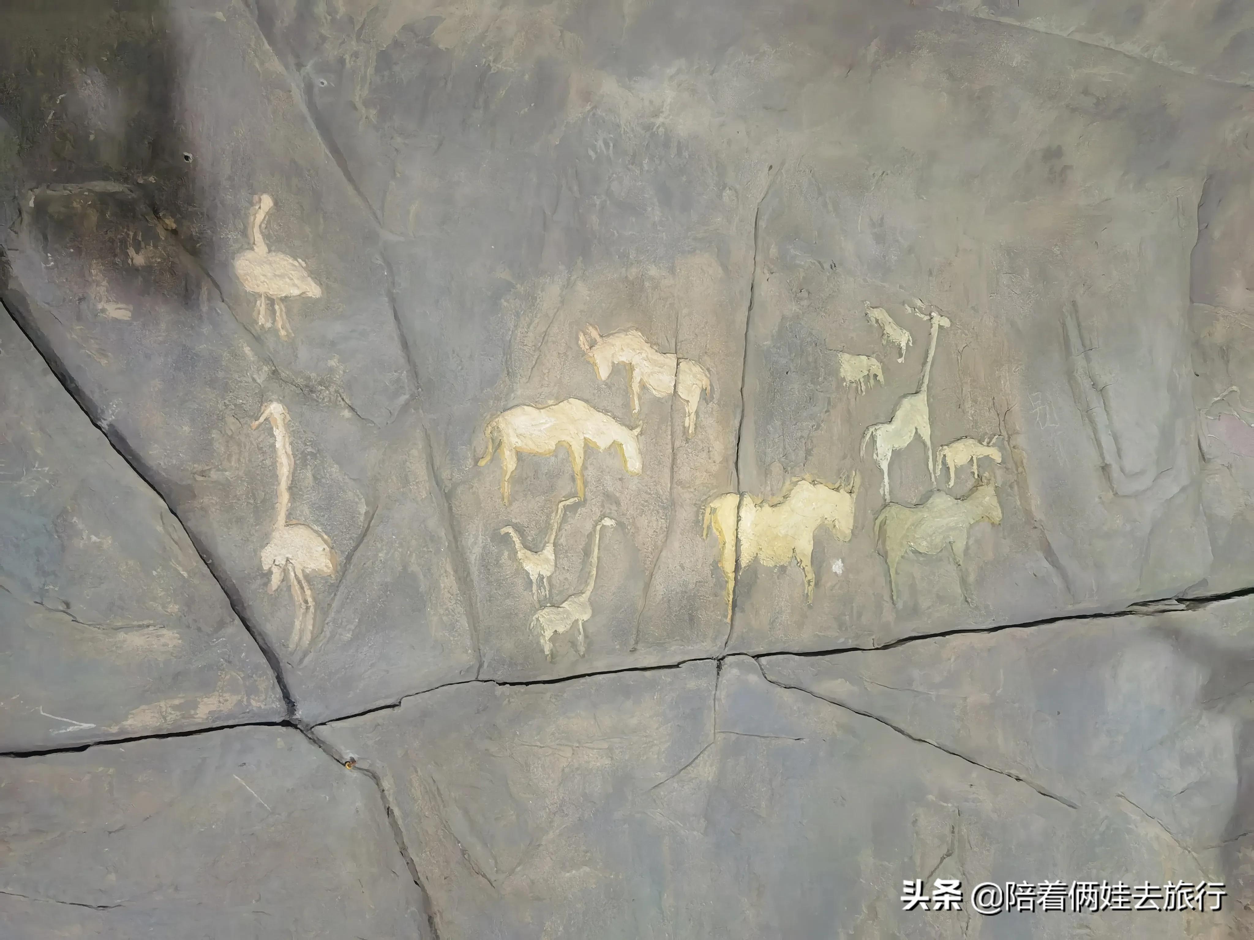 上海辰山植物园矿坑花园,辰山植物园矿坑花园修好了吗