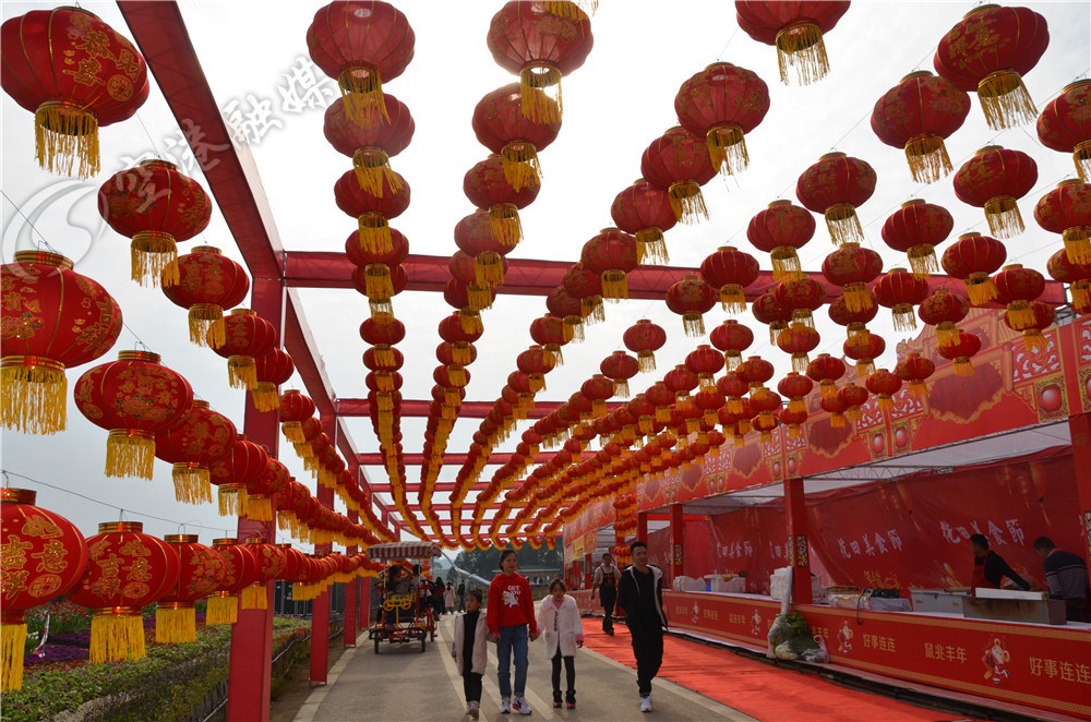 成都双流最新新闻,未来的双流会变成什么样子