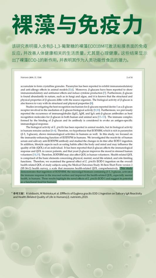 池塘裸藻的危害,裸藻会不会游动