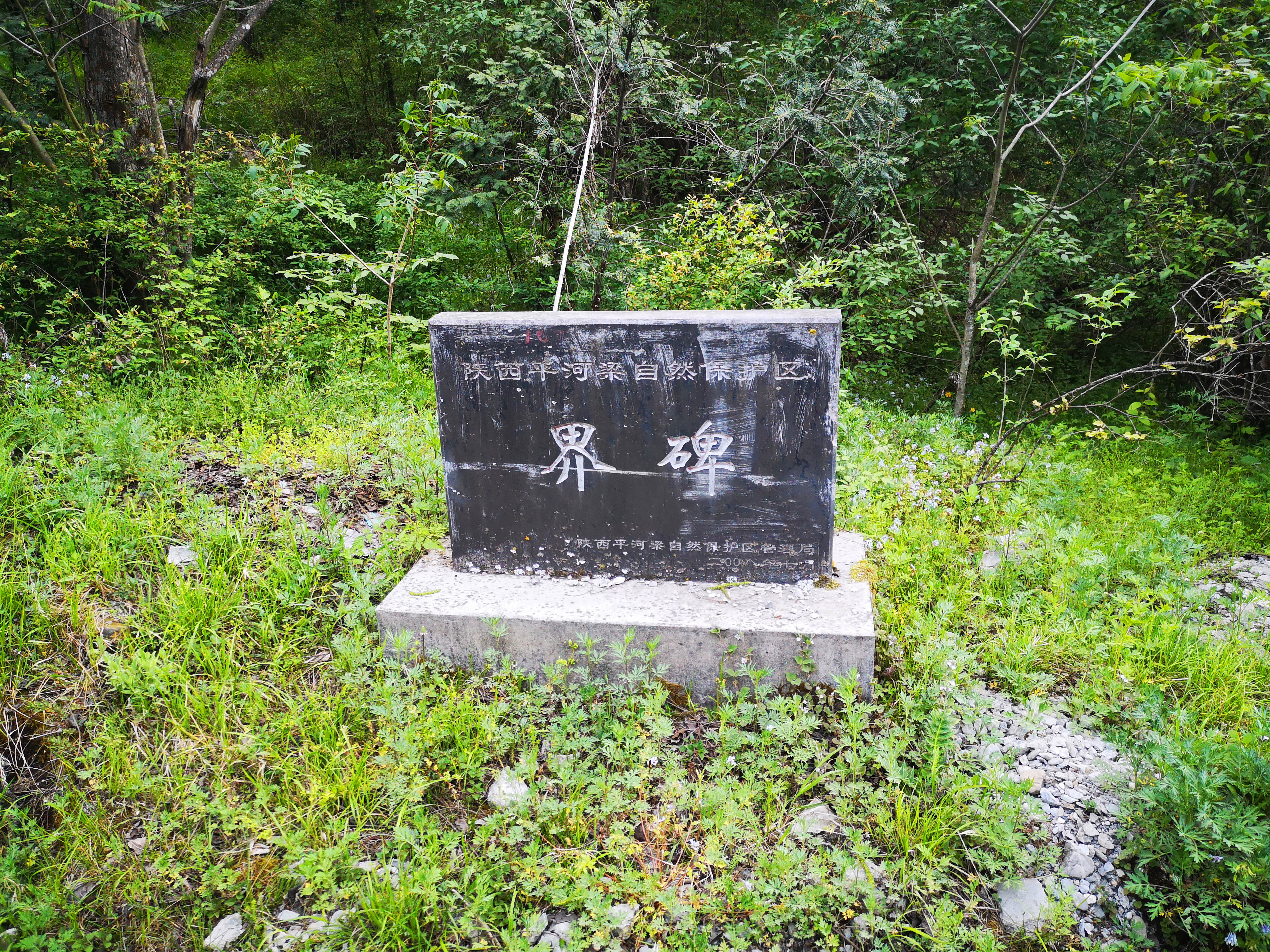 蜀道传奇在哪,蜀道传奇舞钢