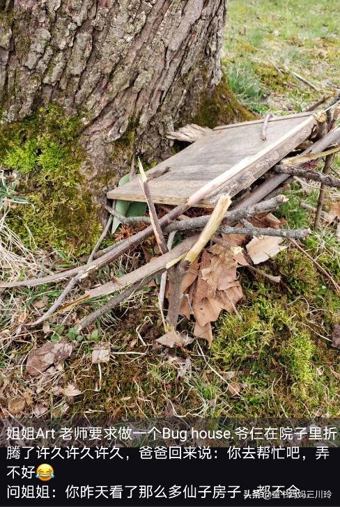 微笑围观美国网课：放过彼此，欢乐玩去吧，学习什么的都是浮云