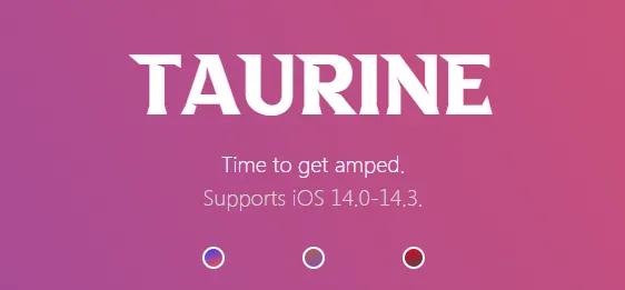 苹果Manticore工具运行iOS15beta6越狱说明